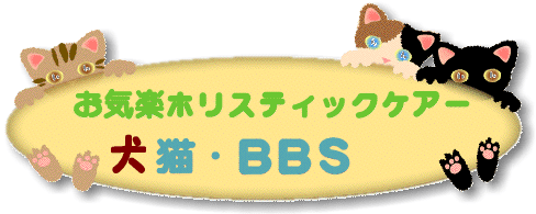 猫を健康にする安全なフードを家庭で作りましょう 日本で最初の猫手作りご飯hp お気楽ホリステックケアー猫bbs